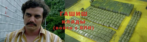 дживик Инта
