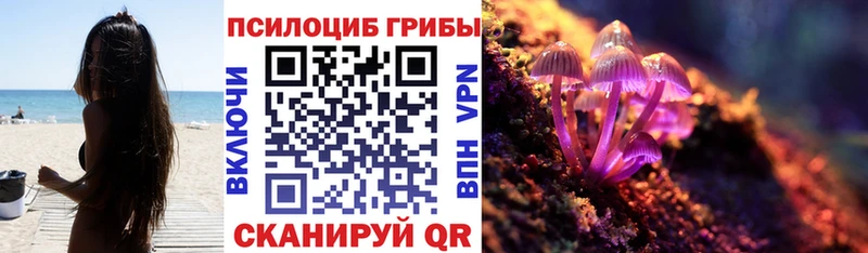 Купить  Себеж  Псилоцибиновые грибы ЛСД 